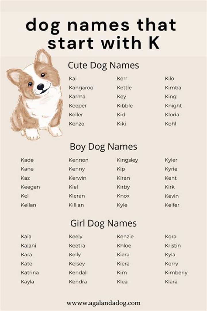 200+ Dog Names That Start With K For Your Kawaii Puppy