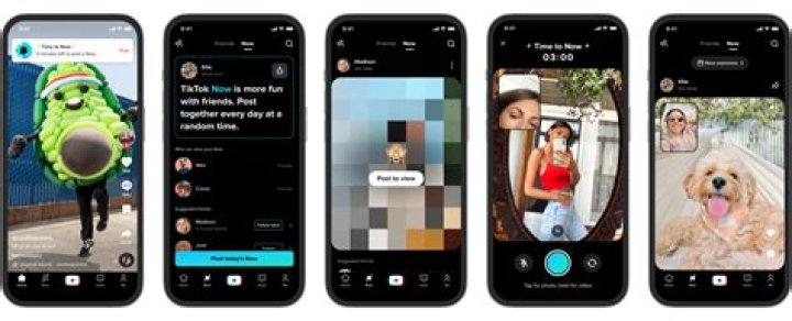 Anna Shumate tiktok Age, Height, Boyfriend: How old tall is the Tik Tok Artist?