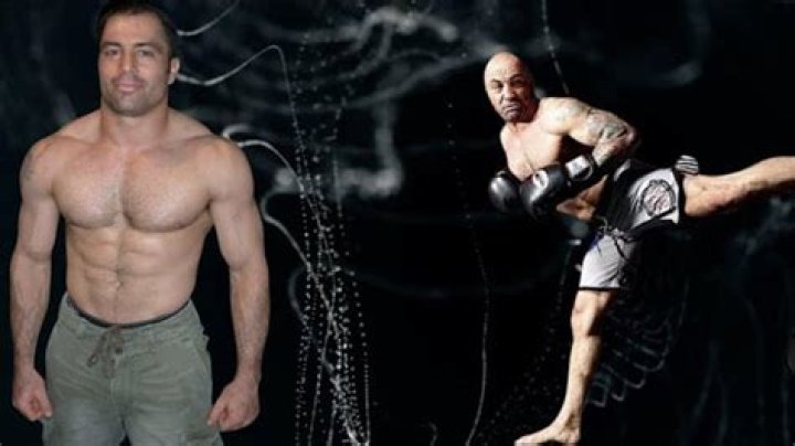 Are Cenk Uygur Joe Rogan Fighting In The Ring? Height and Weight Explored