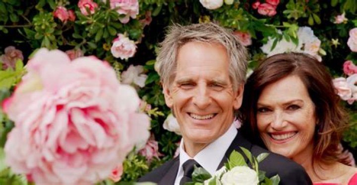 Chelsea Field Net Worth: How Much Is Scott Bakula’s Wife Worth?