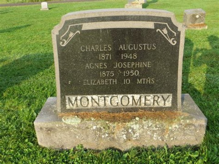 Elizabeth Montgomery’s net worth, biography, fact, career, awards and life story