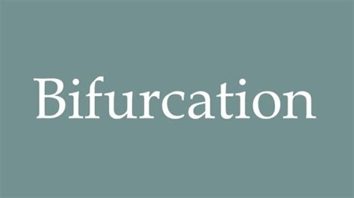 How to pronounce bifurcation