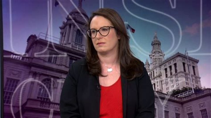 Is Maggie Haberman Pregnant? All About The Journalist Exposing Trump Toilet Wads Secret