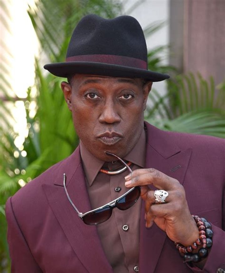 Wesley Snipes’s net worth, fact, career, awards, biography & life story