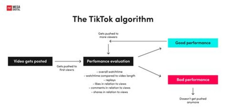 Who Is Hellotefi Boyfriend? Details To Know On The TikTok Star