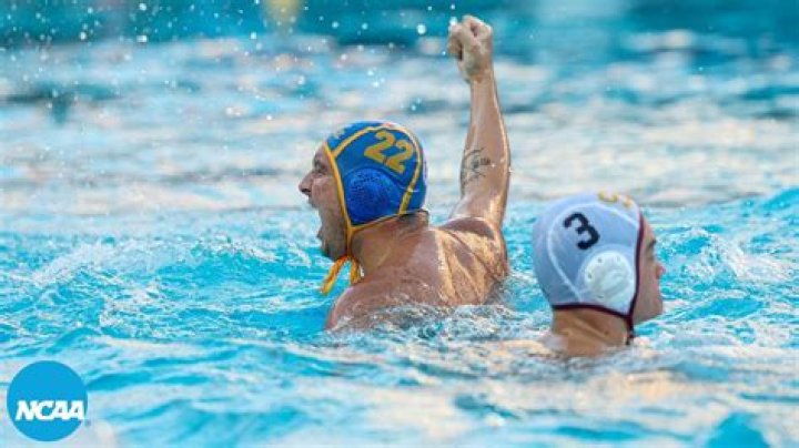 Who Is Marko Vavic? Everything To Know About The Water Polo Player
